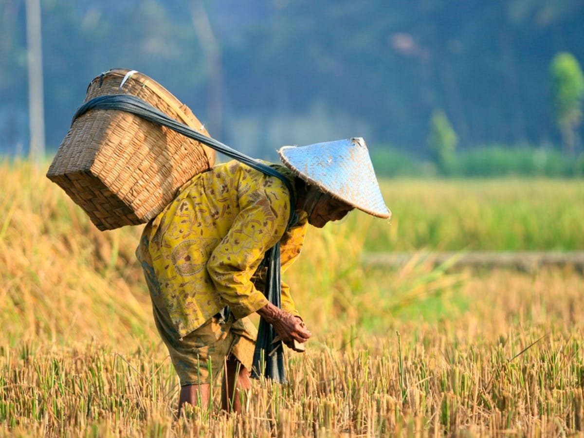 Cegah Inflasi Pangan, Kepala Daerah Diminta Tingkatkan Pengawasan Harga