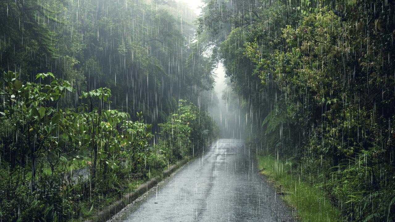 Waspada Hujan Lebat, BMKG Prediksi Sumut Diguyur Hujan hingga 22 Desember