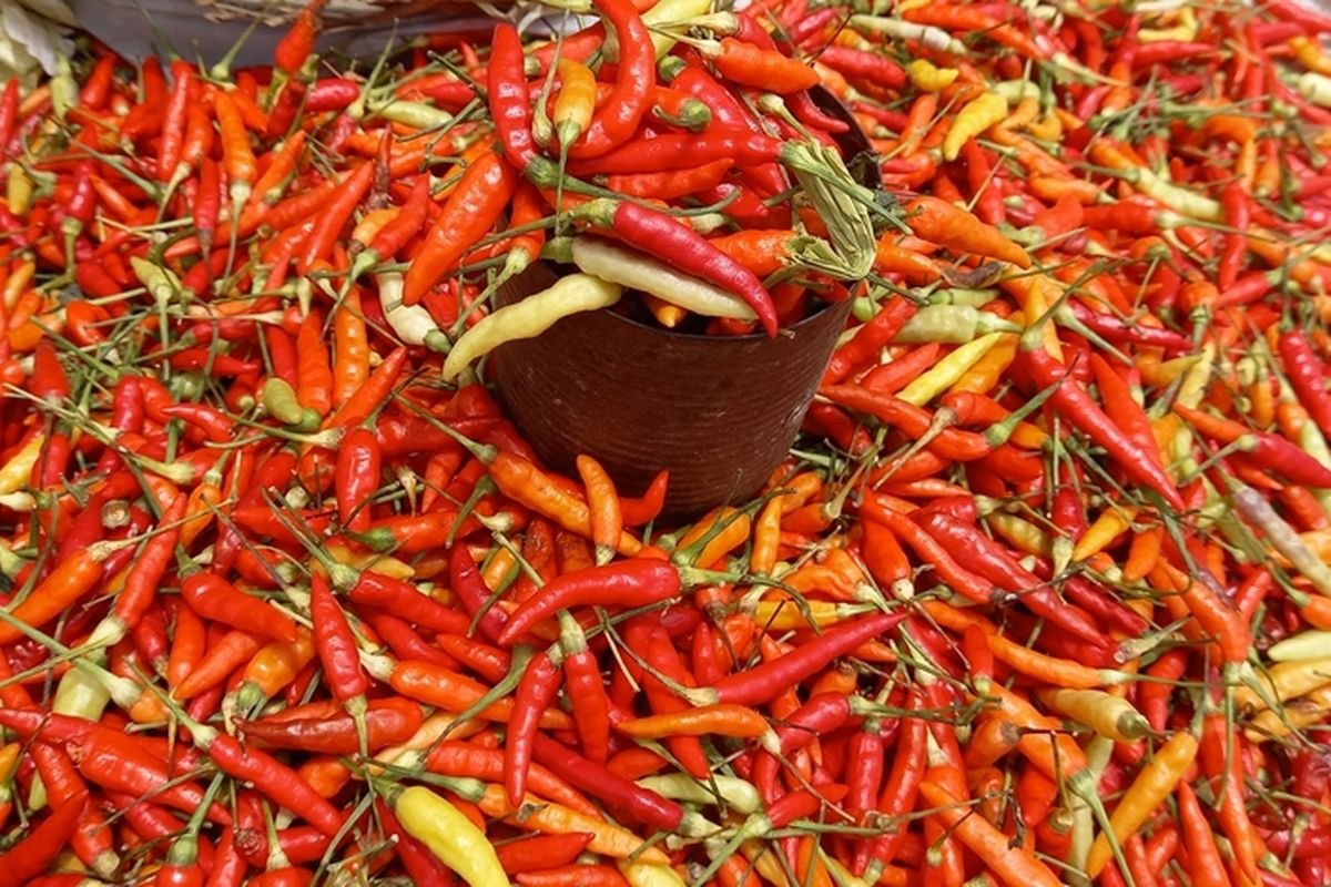Update PIHPS: Cabai Rawit Sentuh Rp80.700 per Kg, Telur Ayam Rp32.650 per Kg