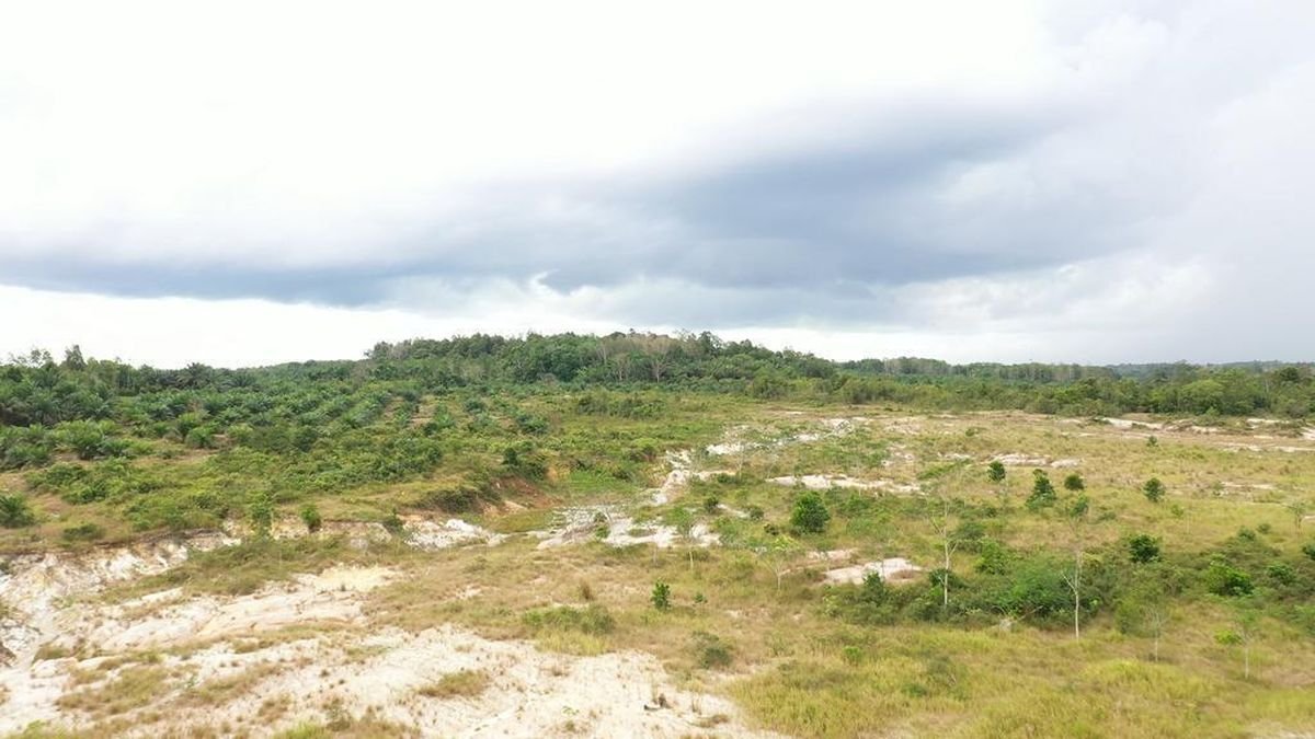 Persatin Sulap Lahan Terbengkalai Jadi RTH Ramah Lingkungan di Karawang