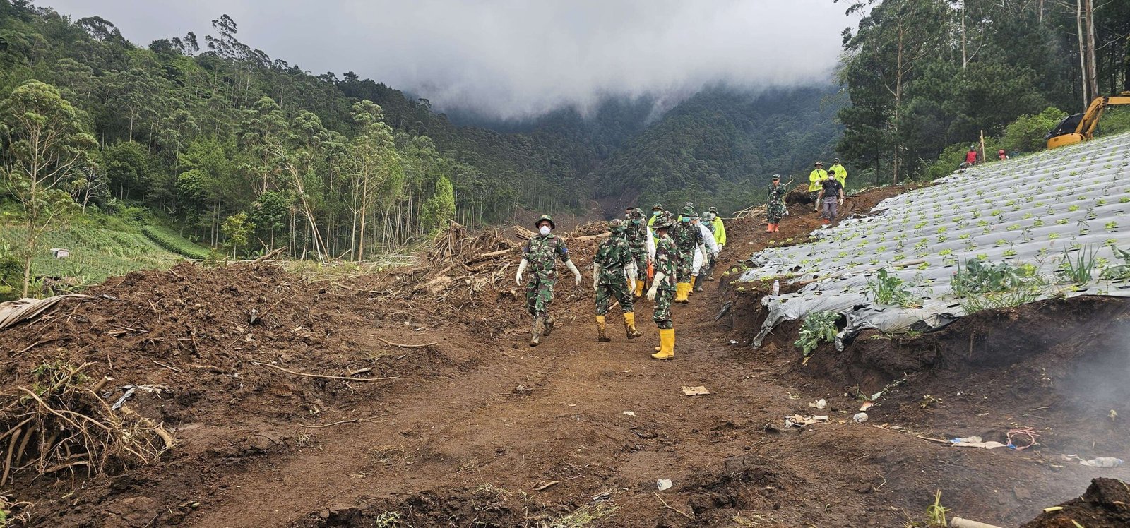 Update Operasi SAR Cisarua Hari Ke-12: Basarnas Fokus Sektor A2