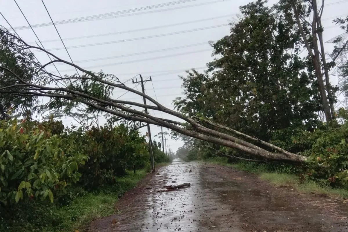 PLN: 894.053 Pelanggan di Jawa Tengah Terdampak Listrik Padam Akibat Angin Kencang
