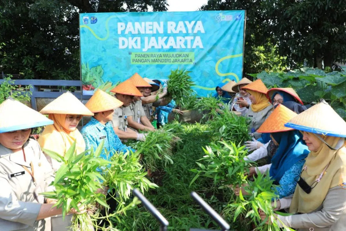Pemkot Jakarta Selatan Lakukan Panen Urban Farming di 177 Lokasi