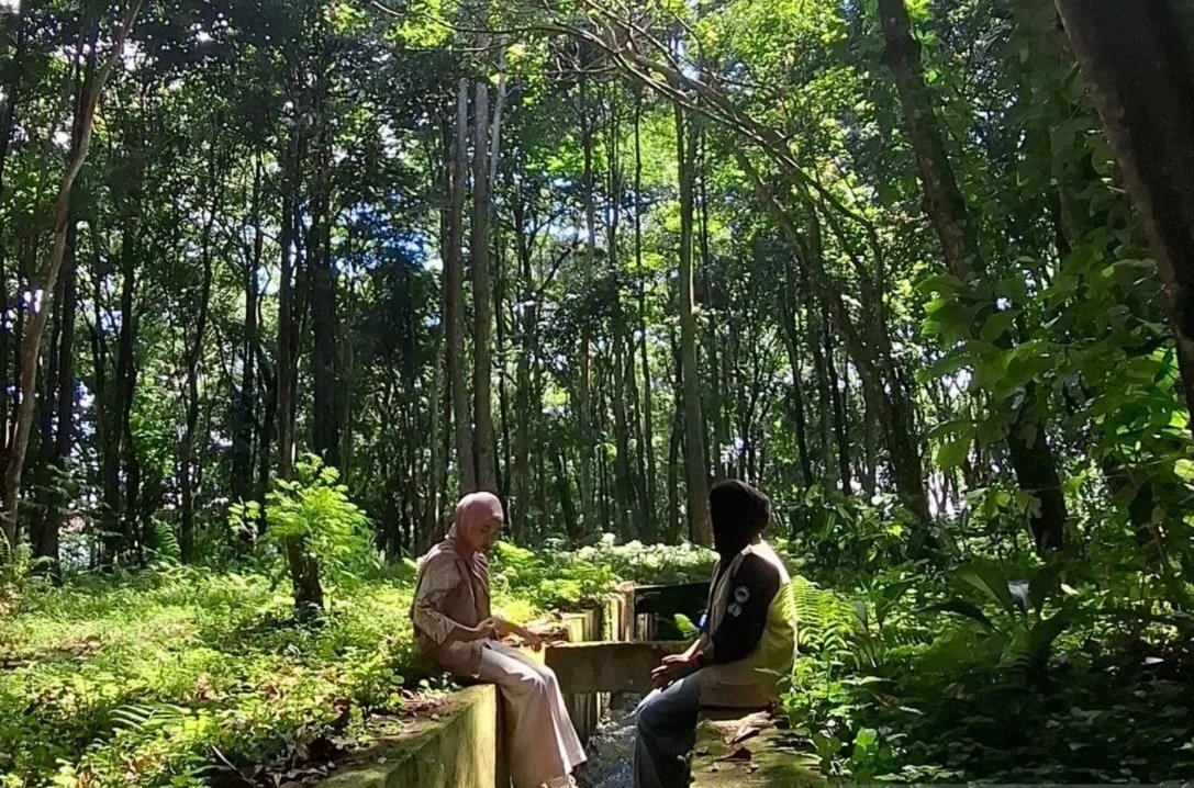 Intip Pesona Hutan Kota Rejang Lebong yang Jadi Lintasan Balap Sepeda Nasional