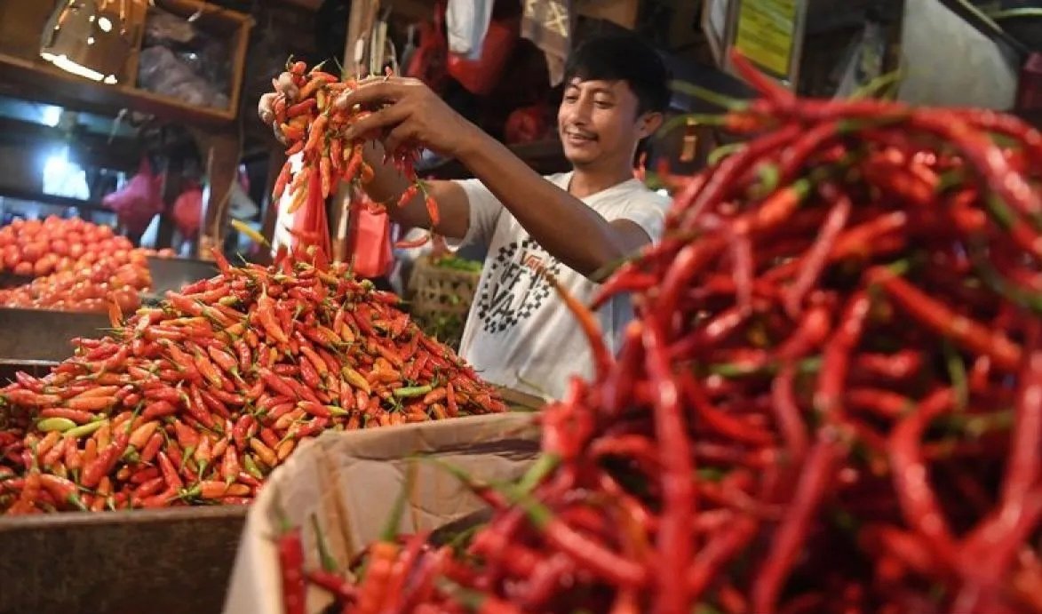 Harga Cabai Rawit Merah Sabtu: Rp83.100/Kg, Telur Ayam Rp32.550