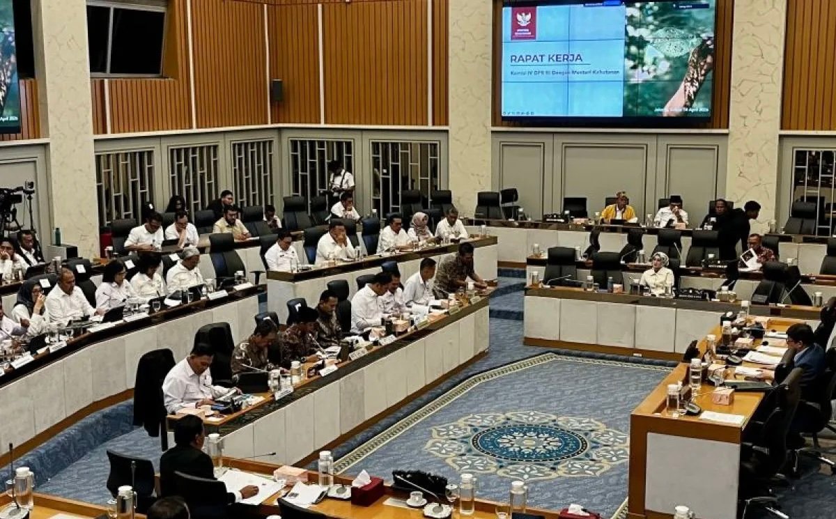 Menhut Sebut Pasar Karbon Percepat Transisi Indonesia Menuju Ekonomi Hijau