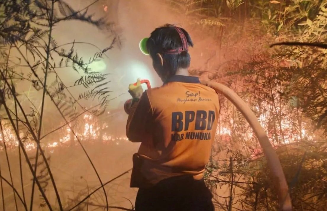 Penyebab Karhutla di Kalimantan Utara Belum Diketahui, BNPB Lakukan Penyelidikan