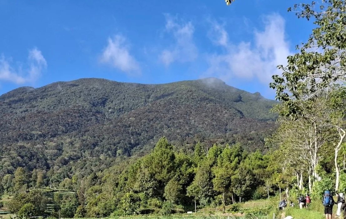 Jalur Pendakian Gunung Gede Pangrango Ditutup Sementara Selama 2 Hari