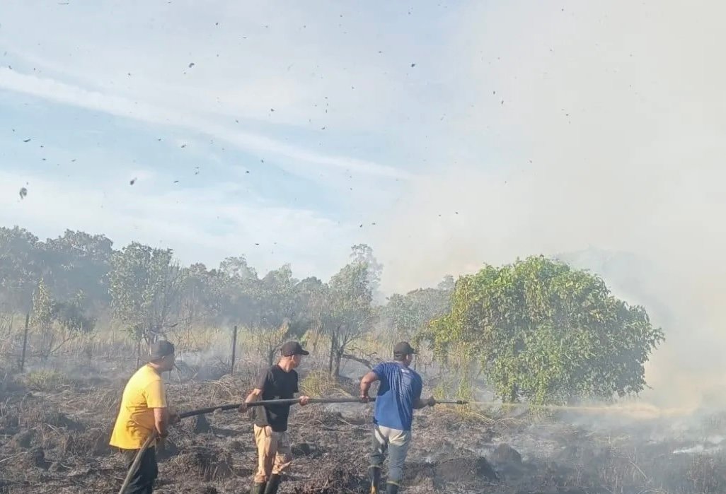 BNPB Laporkan Sebaran Karhutla Masih Landa Dua Wilayah di Aceh