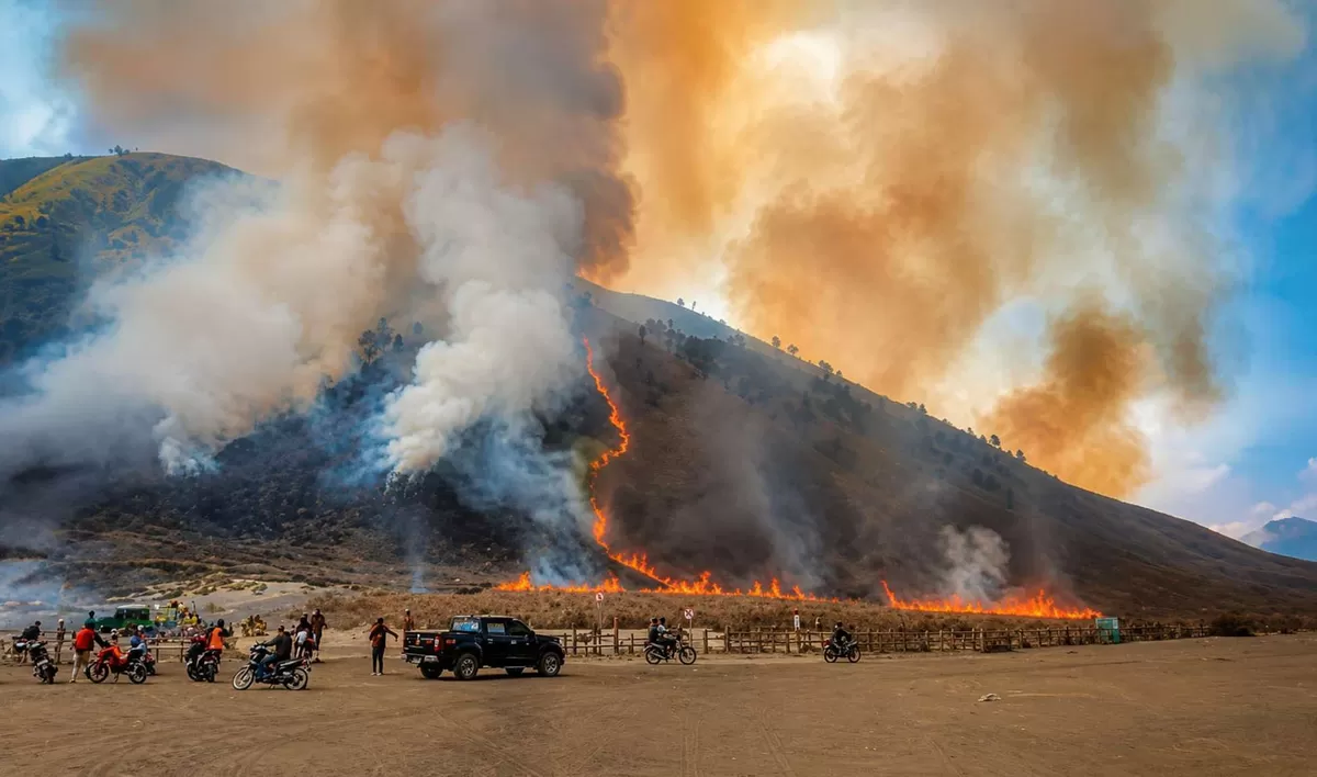 TNBTS Ungkap 520 Hektare Kawasan Bromo Terdampak Kebakaran