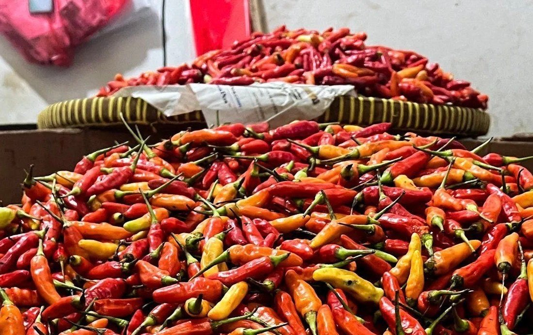 Cek Harga Pangan Terbaru: Cabai Rawit Rp67.350/Kg dan Telur Ayam Rp29.350/Kg