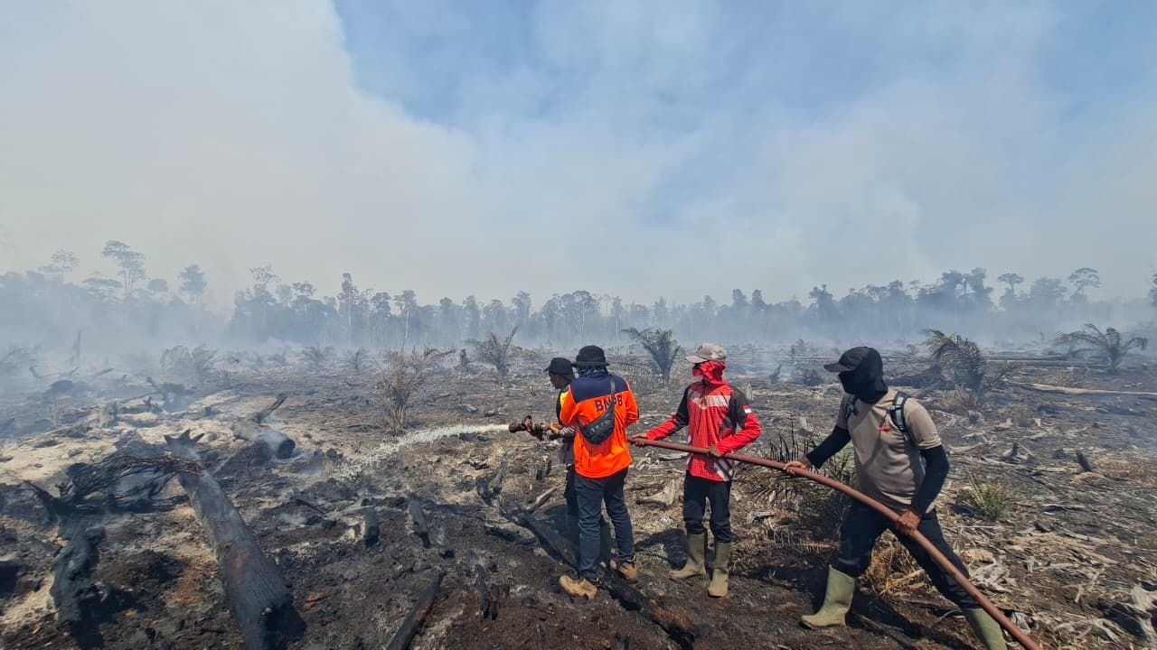 Belum Padam Sepenuhnya, Karhutla di Enam Provinsi Tersisa 96,07 Hektare