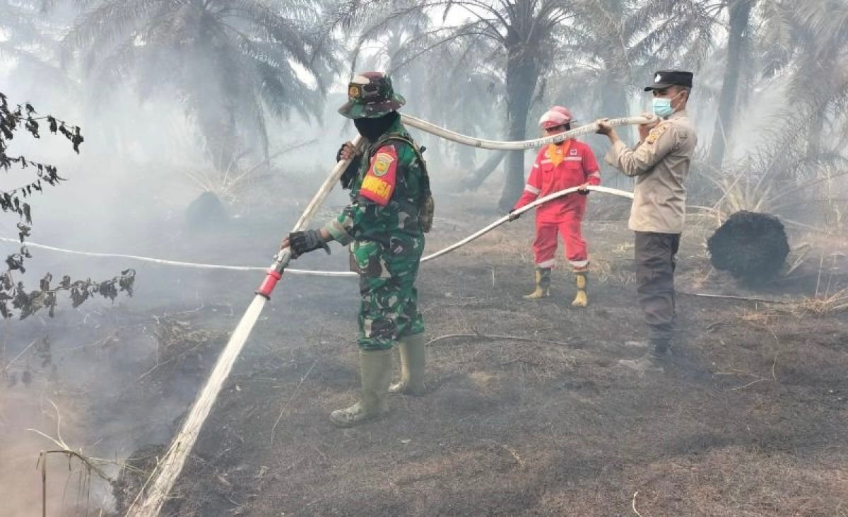 Satgas Gabungan Bergerak, Akses Menuju Titik Api Karhutla TNBS Dibuka Satgas Gabungan Bergerak, Akses Menuju Titik Api Karhutla TNBS Dibuka