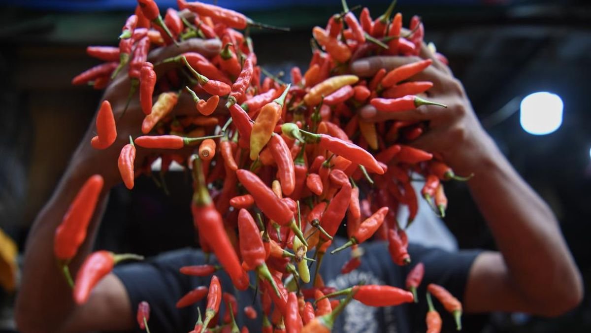 Awas Lonjakan Inflasi! BPS Soroti Tren Kenaikan Harga Cabai Rawit